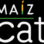 Maiz Cat – Arena para gatos ecológica a base de maíz