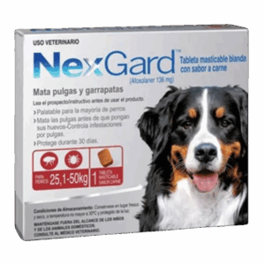 NexGard Antiparasitario para perros de 25.1 a 50 Kilos a Domicilio en Bogota